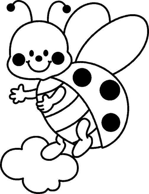 41 coccinelle demoiselle